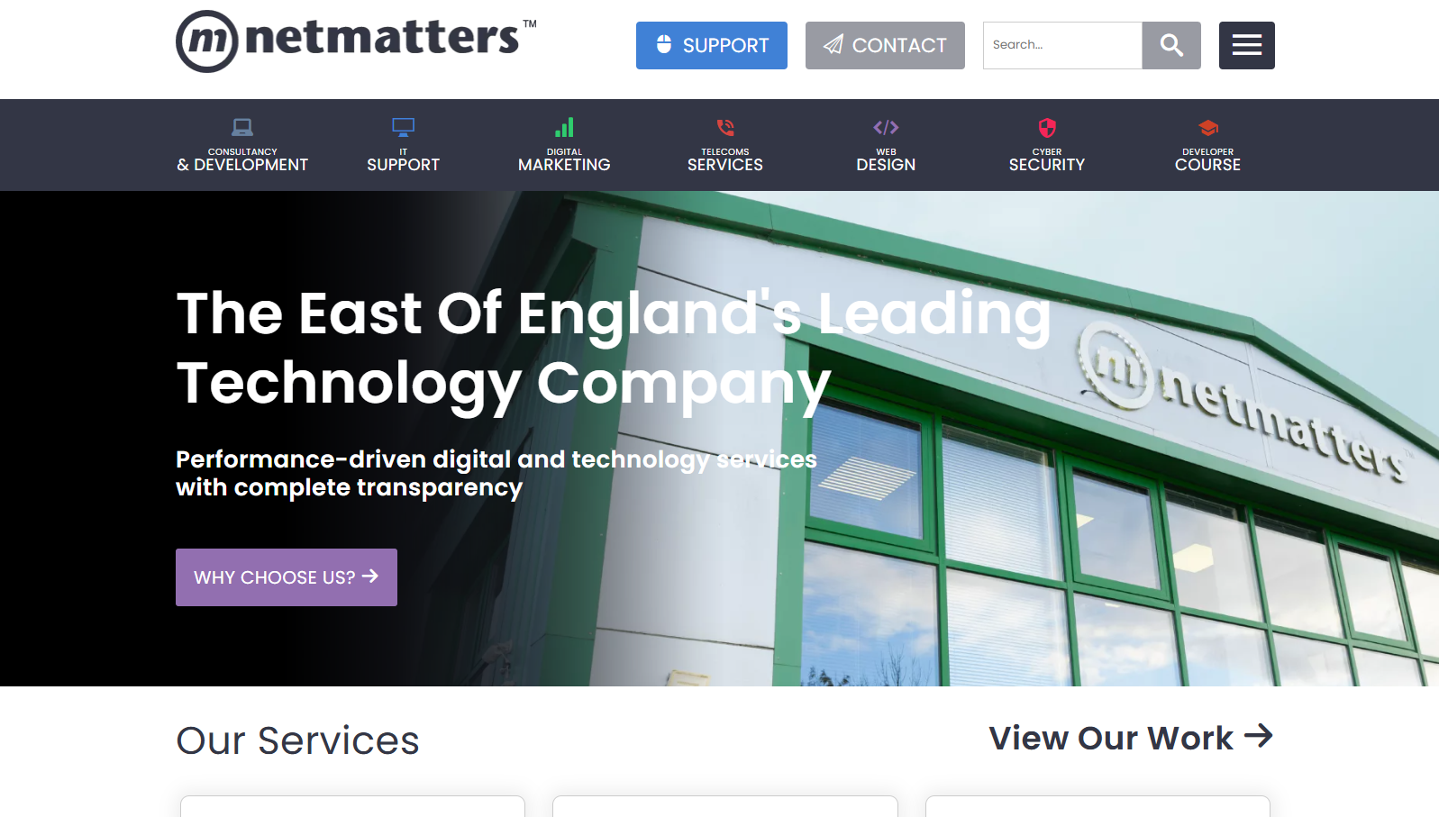 image of netmatters homepage